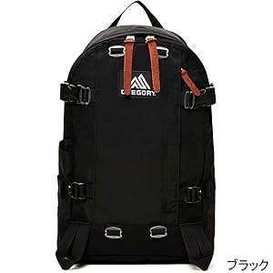 【美品】【未使用】グレゴリー オールデイ 2018限定カラー GREGORY GREGORY/グレゴリー】オールデイ ターコイズブルー（バック